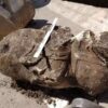 Конная статуя эпохи Возрождения найдена во Франции
