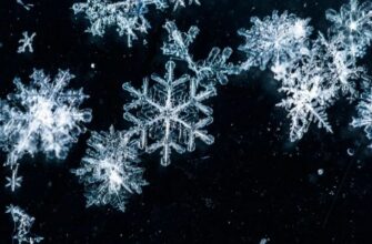 Универсальный закон формы снежинок